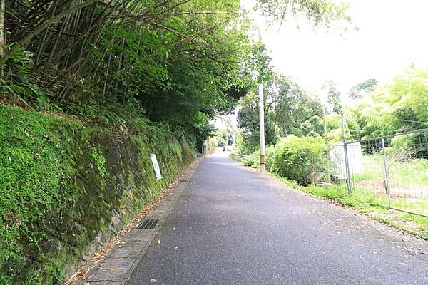 【前面道路】西側前面道路、北方面