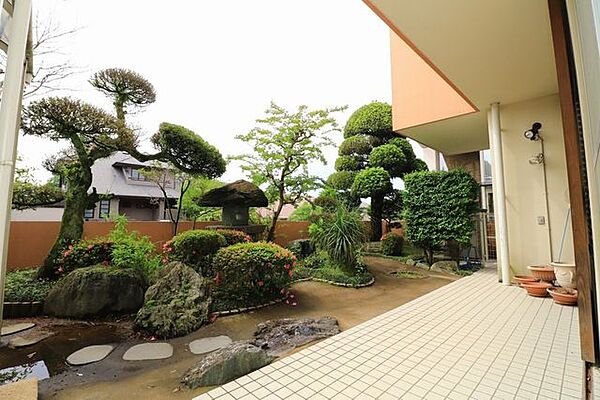 庭