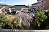 その他：【庭】庭に梅があり、綺麗な花を咲かせます！