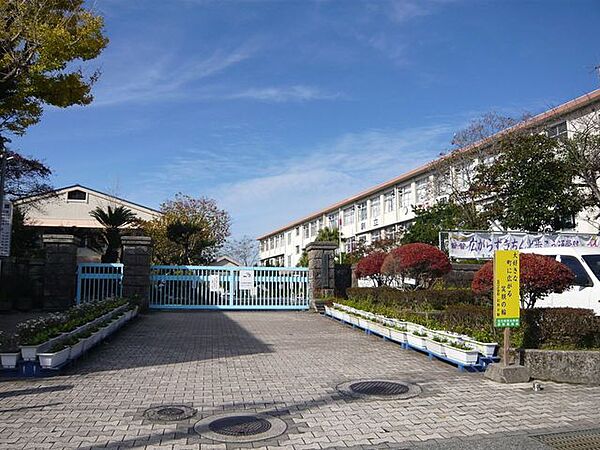 玉江小学校【鹿児島市立玉江小学校】は、下伊敷1丁目に位置する1878年創立の小学校です。令和3年度の生徒数は827人で、32クラスあります。校訓は「のぞみ　大きく　たくましく」です。 1500m