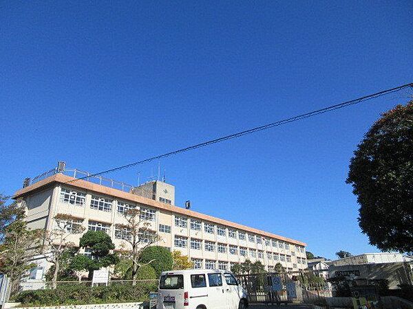 吉野東小学校【鹿児島市立吉野東小学校】は、吉野町に位置する1981年創立の小学校です。令和3年度の生徒数は1161人で、48クラスあります。校訓は「かしこく　なかよく　たくましく」です。 1500m