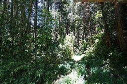 鹿児島県鹿児島市小山田町