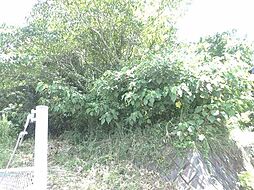 鹿児島県日置市伊集院町猪鹿倉