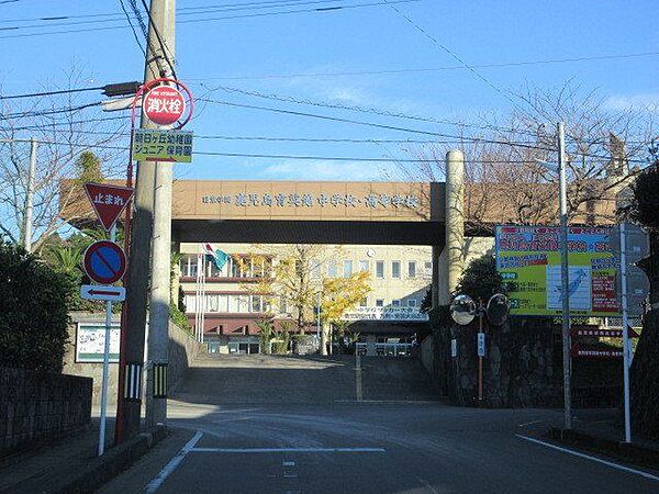 高校・高専 育英館高校 100m