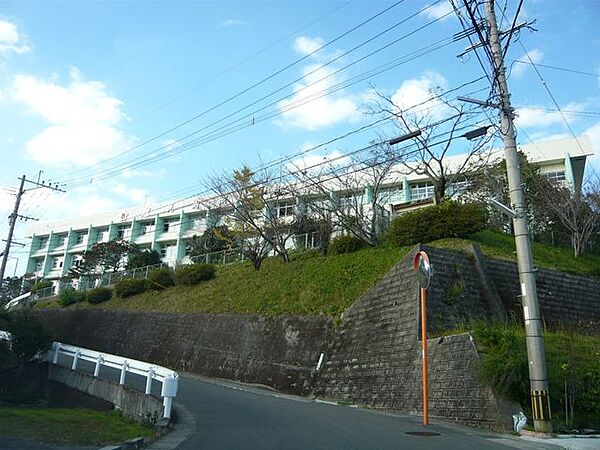 鹿児島商業高校校訓誠実・勤労 1110m