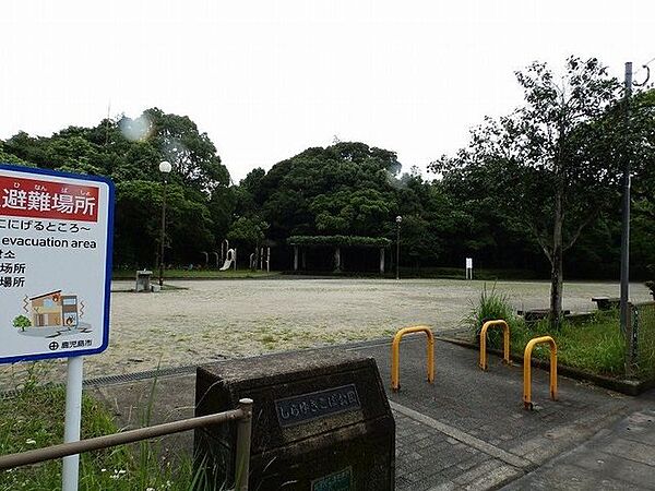 しらゆきこば公園 200m