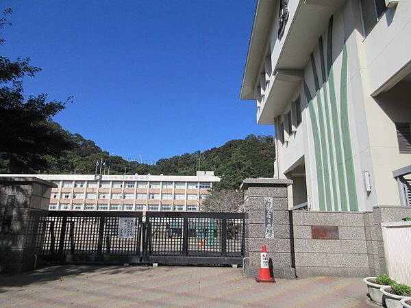 鹿児島玉龍中学校・鹿児島玉龍高等学校【鹿児島市立鹿児島玉龍高等学校】は、池之上町に位置する2006年創立の中学校です。令和3年度の生徒数は360人で、9クラスあります。校訓は「溌溂・躍進・玲瓏」で…