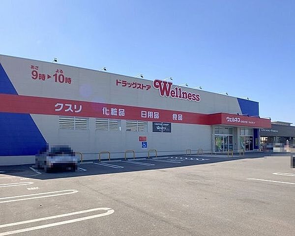 ウェルネスみのかや店 3800m