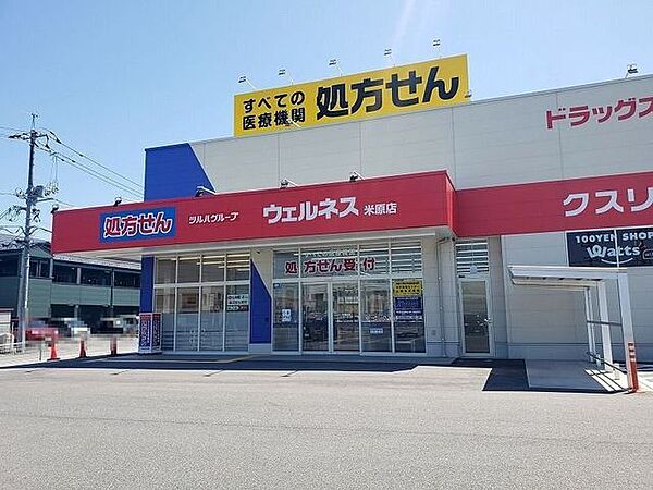ウェルネス米原店 620m