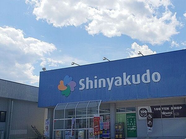 シンヤクドー両三柳店 910m