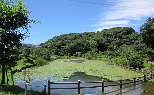 光の丘水辺公園光の丘水辺公園 2700m