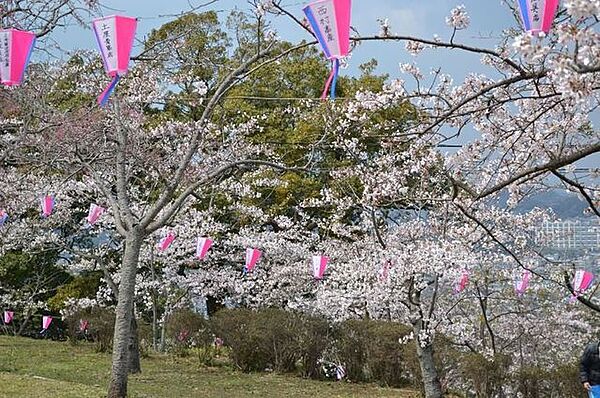 衣笠山公園衣笠山公園 1220m