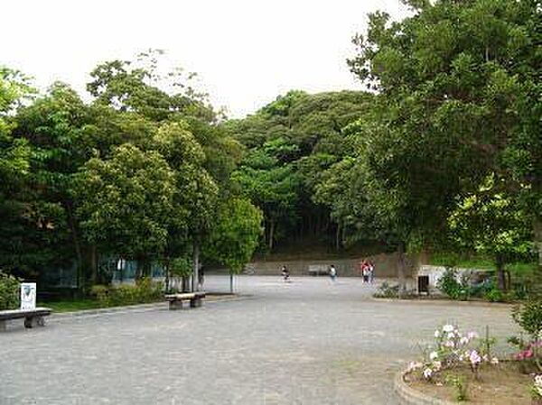 長沢公園長沢公園 530m