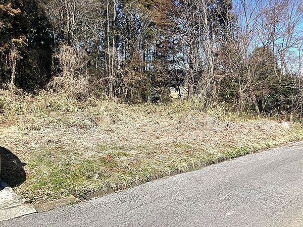 外観：309000085845