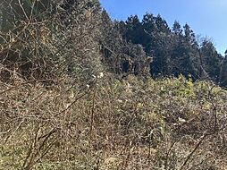 栃木県日光市木和田島