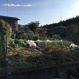 栃木県宇都宮市中岡本町