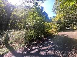 栃木県芳賀郡芳賀町大字西水沼1517