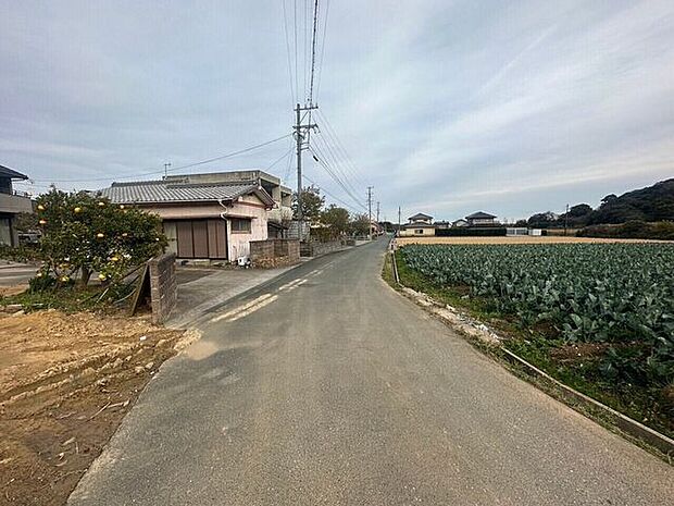 前面道路含む現地写真