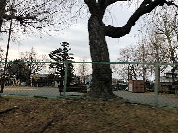 柱第一公園 630m