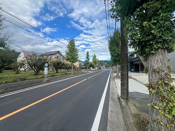 前面道路含む現地写真