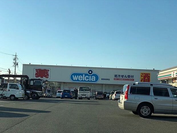 ウエルシア　豊橋東森岡店 500m