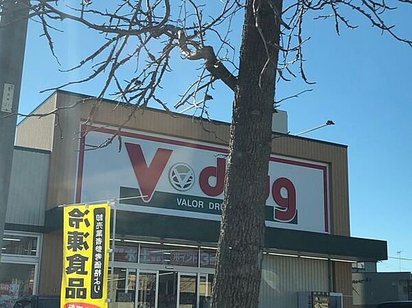 Vドラッグ　豊橋菰口店 900m