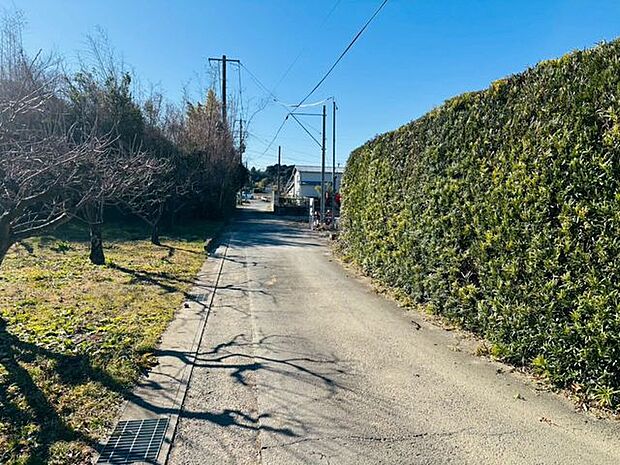 前面道路含む現地写真