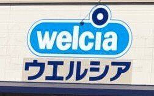 ウエルシア 豊橋牟呂店 530m