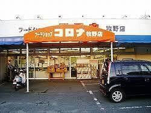 フードショップコロナ　牧野店 900m