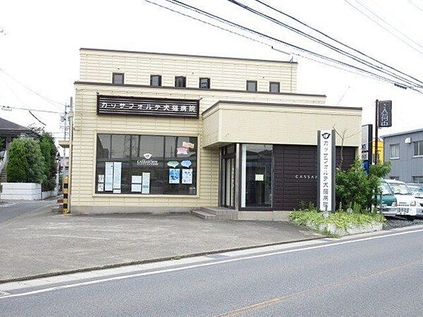 カッサフォルテ犬猫病院　診察時間：10時～13時/15時～19時　休診日：木曜・祝日　外科手術、避妊手術、各種検査、入院治療、皮膚病フィラリア予防、予防注射、ペットホテルなどを行っています 650m