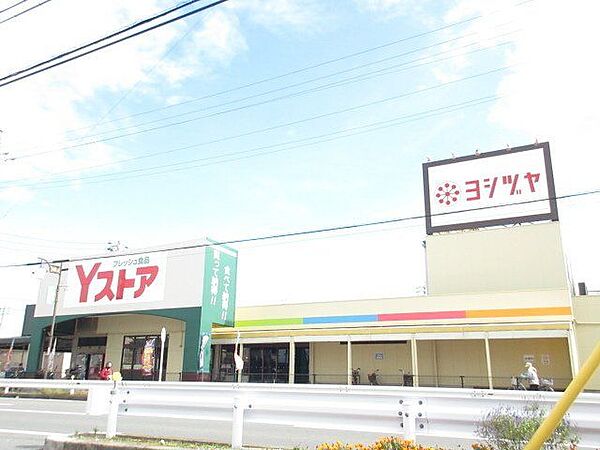 Yストア篠田店　営業時間/9時00分～20時　駐車場あり（70台）　 「小型スーパー」をコンセプトとし、毎日の生活に欠かせない食品をお値打ち価格で取りそろえています。 520m