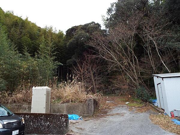 外観：339000034276