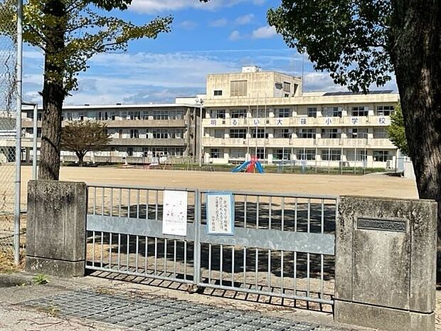 南国市立大篠小学校 1000m