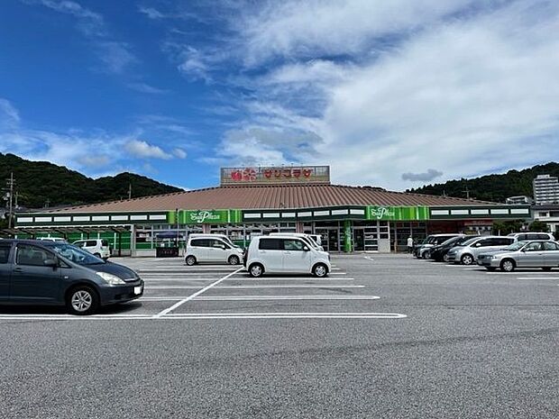 サンプラザ新鮮館 緑ヶ丘 550m