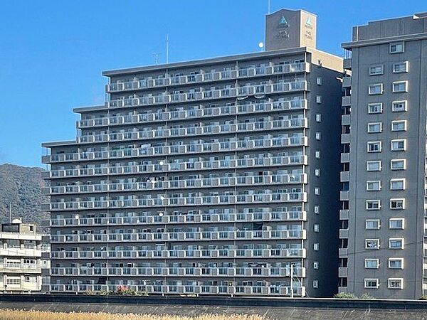 外観：339000046551