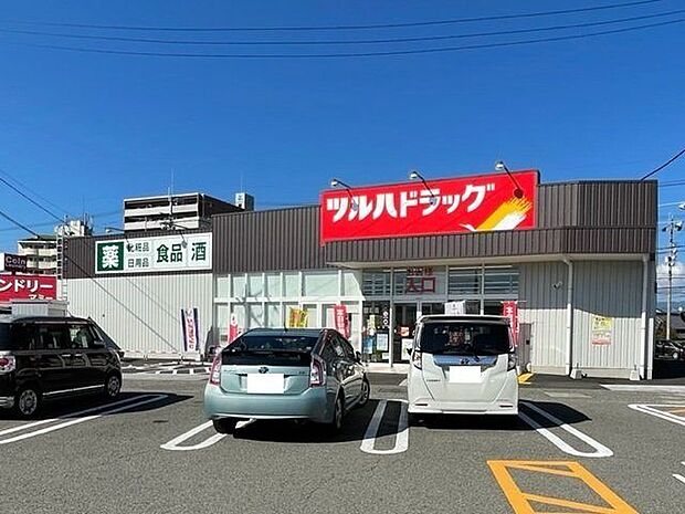 ツルハドラッグ南国店 1100m