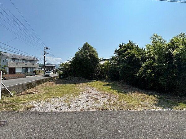 写っているのはほんの一部です。