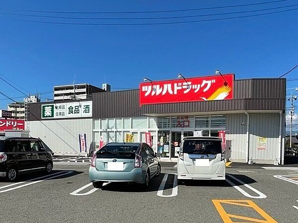 ツルハドラッグ南国店 1160m