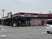 業務用食品スーパーPROMART 土佐山田店 700m
