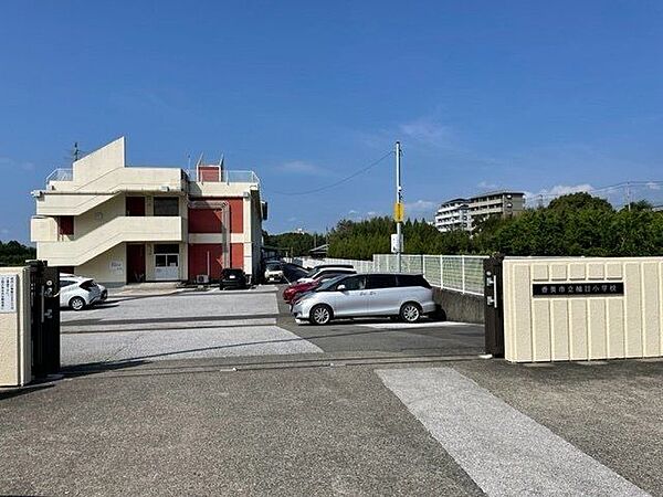香美市立楠目小学校 1100m