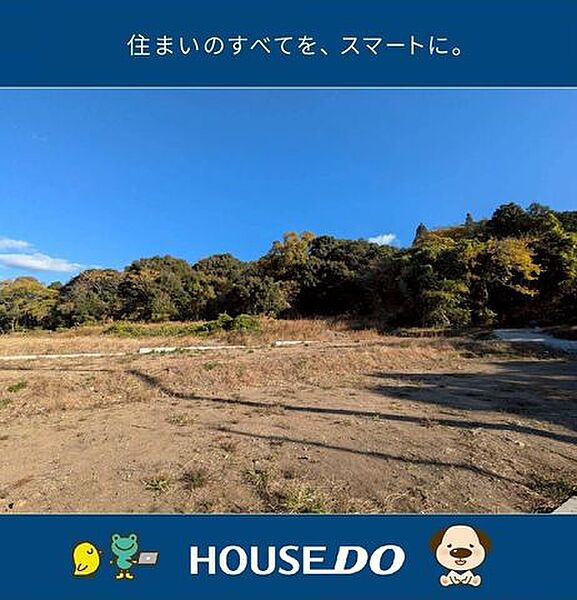 外観：339000050506