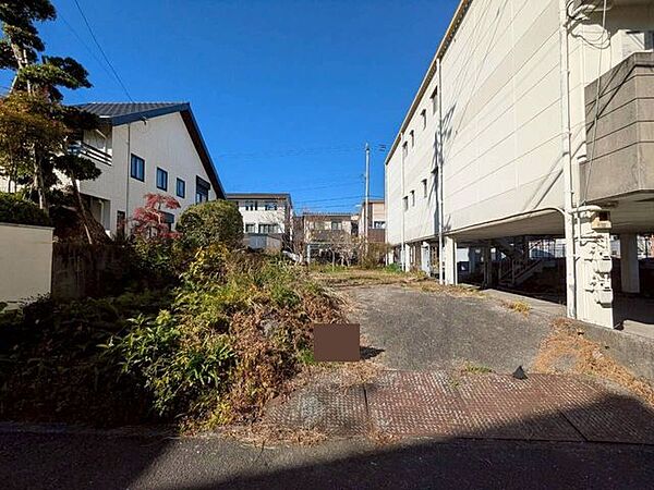 外観：339000050611