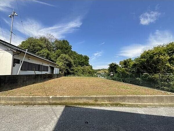 外観：339000051001