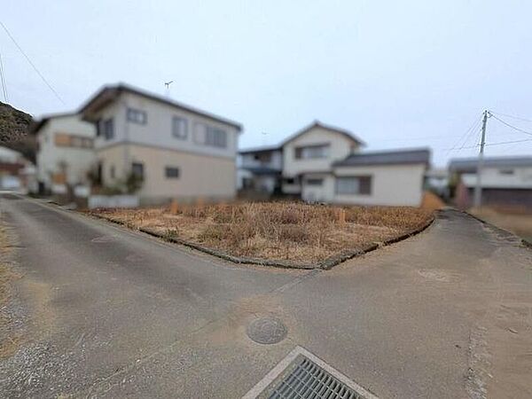 外観：339000052217