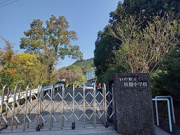 いの町立枝川小学校 600m