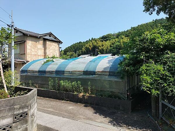 外観：339000053460