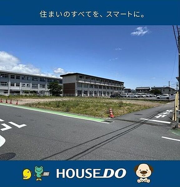 外観：339000053615