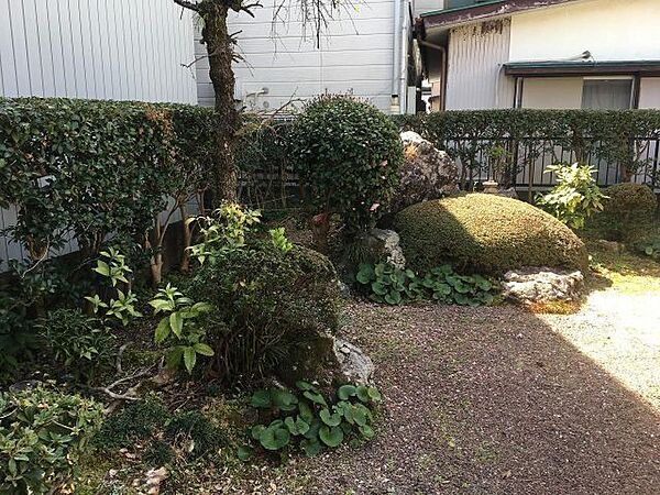庭