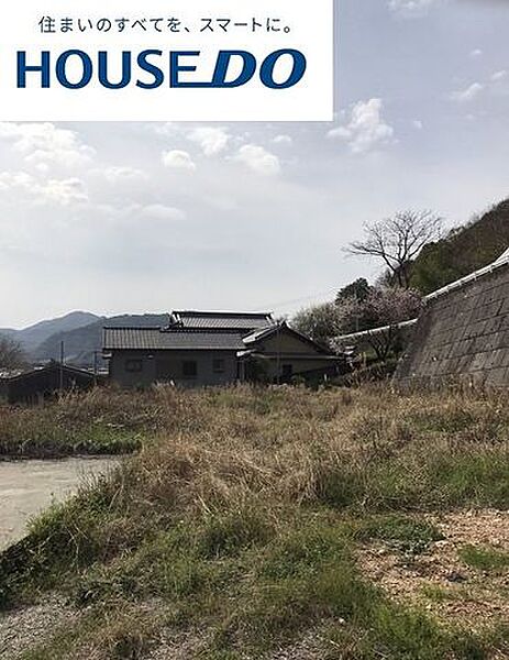 外観：339000053695