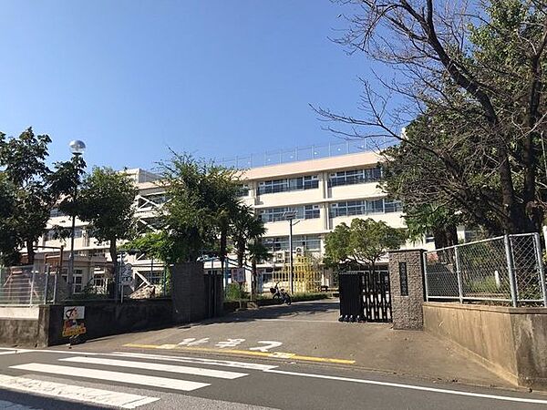 高知市立一ツ橋小学校 市立一ツ橋小学校 200m
